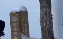 圖片來源:小紅書 圖片來源:小紅書