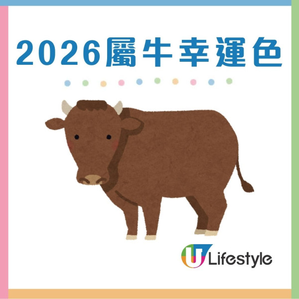 馬年什麼顏色最旺?屬龍穿黑增威望 屬蛇靠大地色翻身!2026年12生肖幸運顏色全攻略