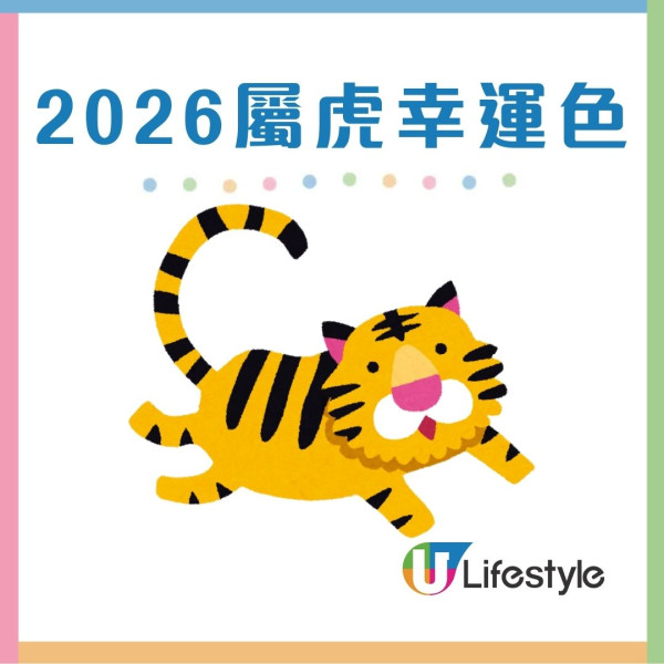 馬年什麼顏色最旺?屬龍穿黑增威望 屬蛇靠大地色翻身!2026年12生肖幸運顏色全攻略