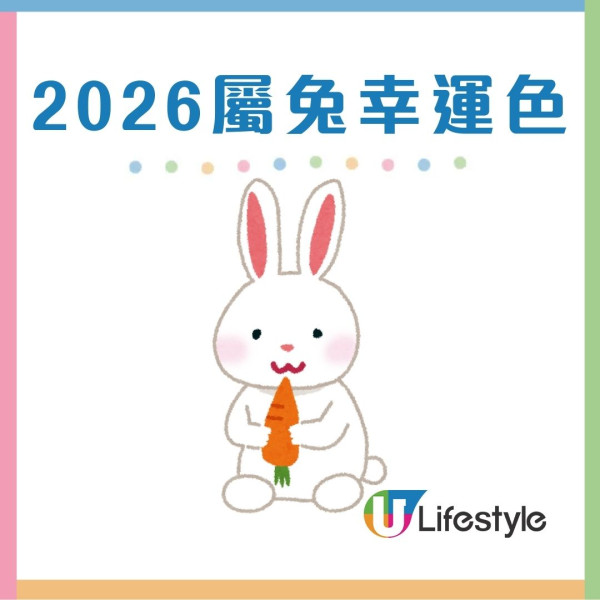 馬年什麼顏色最旺?屬龍穿黑增威望 屬蛇靠大地色翻身!2026年12生肖幸運顏色全攻略