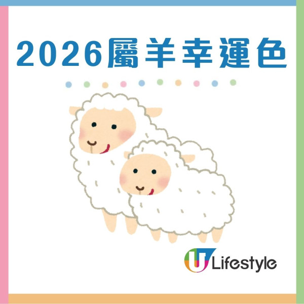 馬年什麼顏色最旺?屬龍穿黑增威望 屬蛇靠大地色翻身!2026年12生肖幸運顏色全攻略