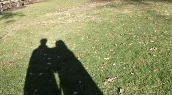 照片來源:微博@TVB明星联盟 照片來源:微博@TVB明星联盟