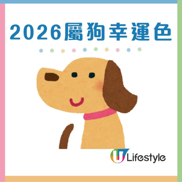 馬年什麼顏色最旺?屬龍穿黑增威望 屬蛇靠大地色翻身!2026年12生肖幸運顏色全攻略