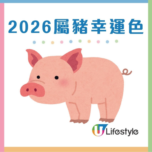 馬年什麼顏色最旺?屬龍穿黑增威望 屬蛇靠大地色翻身!2026年12生肖幸運顏色全攻略