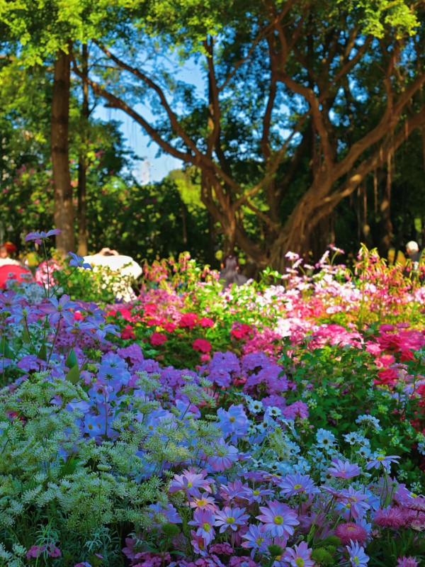 深圳辦年貨2026｜港人北上爆買年貨必去地點 5大批發市場買海味/糖果/裝飾平一半 