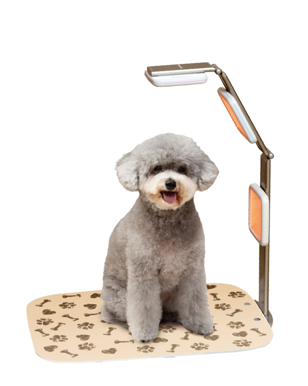 【寵物展優惠】happy pet寵物健康新科技 無痛光療全面提升愛寵健康