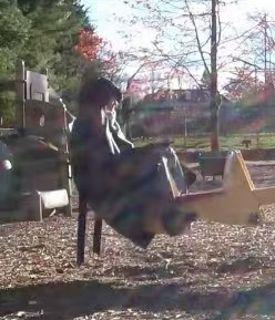 照片來源:微博@鱼丸锅包又 照片來源:微博@鱼丸锅包又