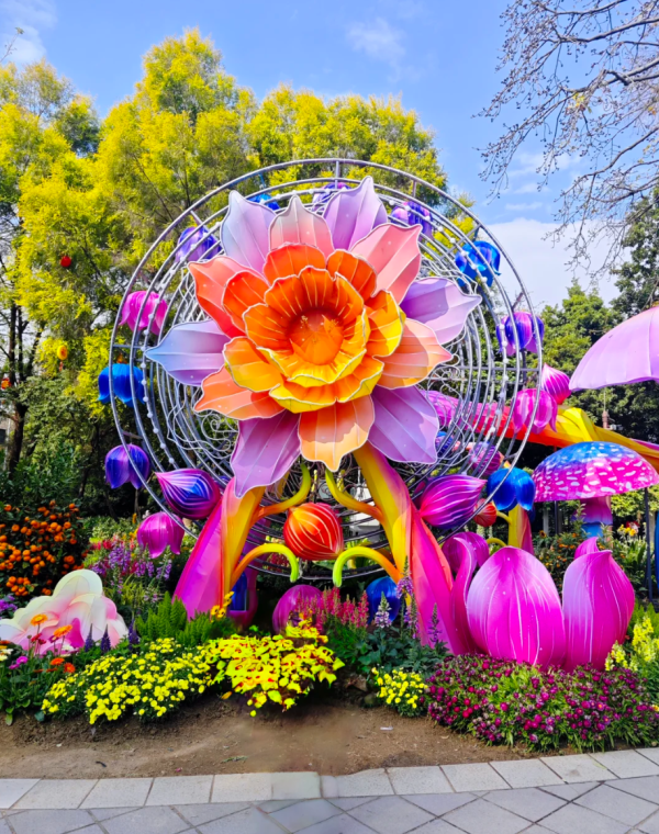 照片來源:小紅書@牵着小企鹅看世界 照片來源:小紅書@牵着小企鹅看世界