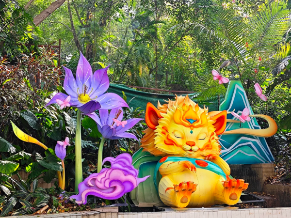 照片來源:小紅書@牵着小企鹅看世界 照片來源:小紅書@牵着小企鹅看世界