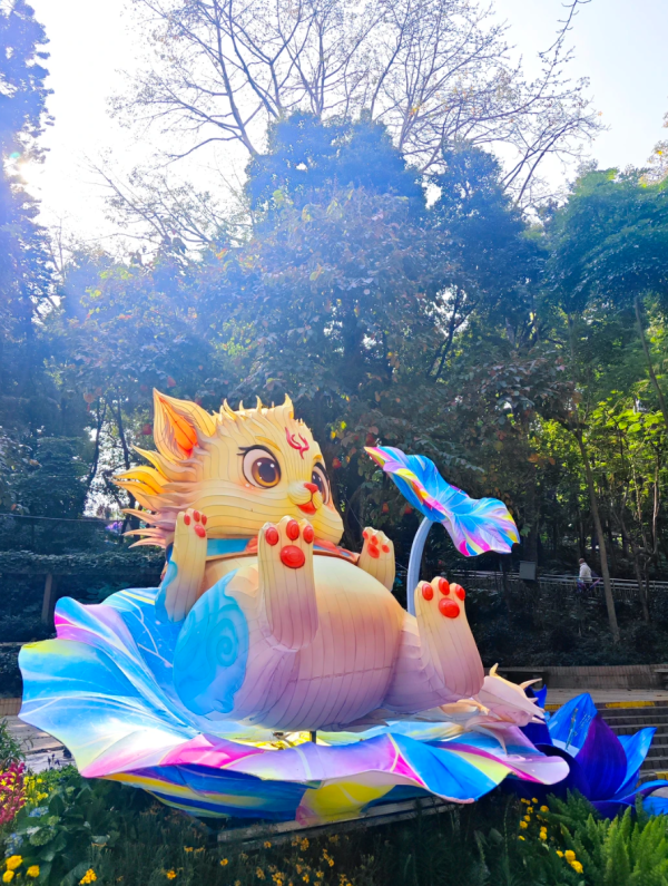 照片來源:小紅書@牵着小企鹅看世界 照片來源:小紅書@牵着小企鹅看世界