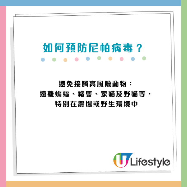 尼帕病毒Q&A會否傳入香港？致死率75%暫無藥醫、印度爆發5宗確診！一文看清病徵及預防方法