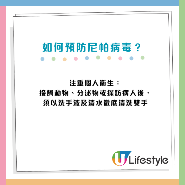 尼帕病毒Q&A會否傳入香港？致死率75%暫無藥醫、印度爆發5宗確診！一文看清病徵及預防方法
