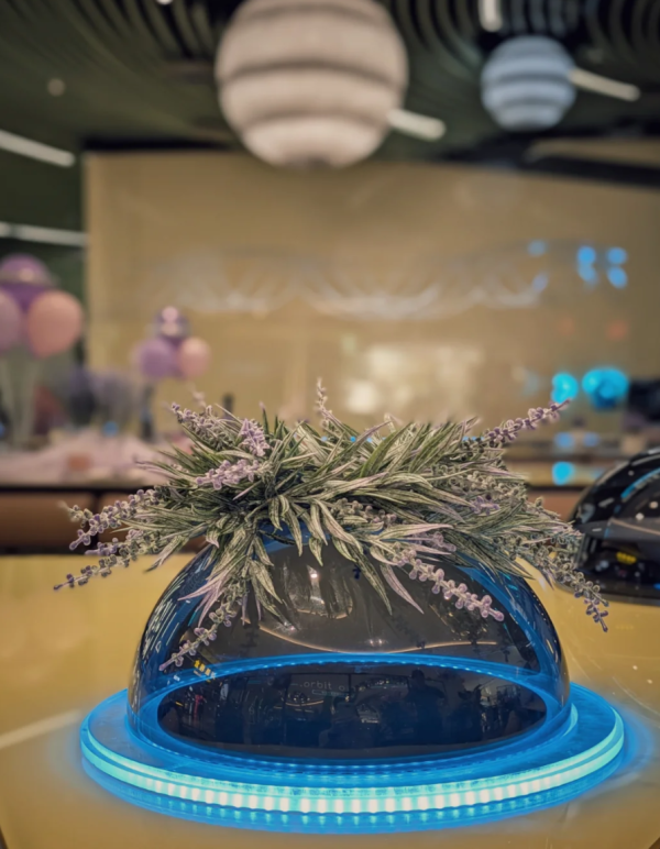 照片來源:小紅書@Orbit one奥彼文创意西餐 照片來源:小紅書@Orbit one奥彼文创意西餐