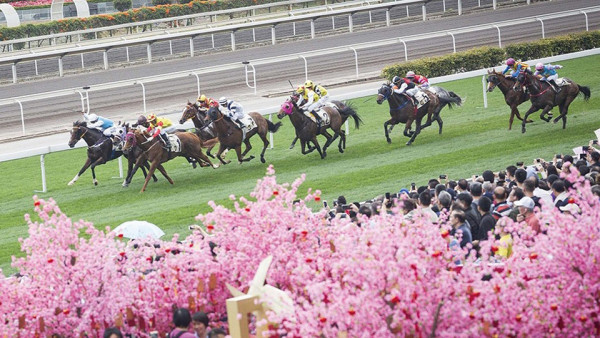 圖片來源：旅發局