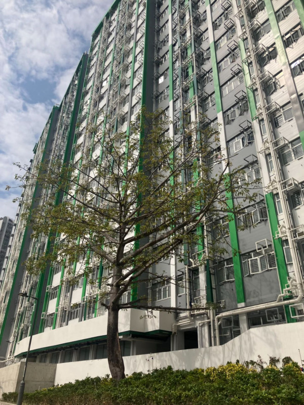 簡約公屋靚過私樓？屯門靚景單位內部曝光：極寬敞開揚、近鐵路站網民直呼羨慕