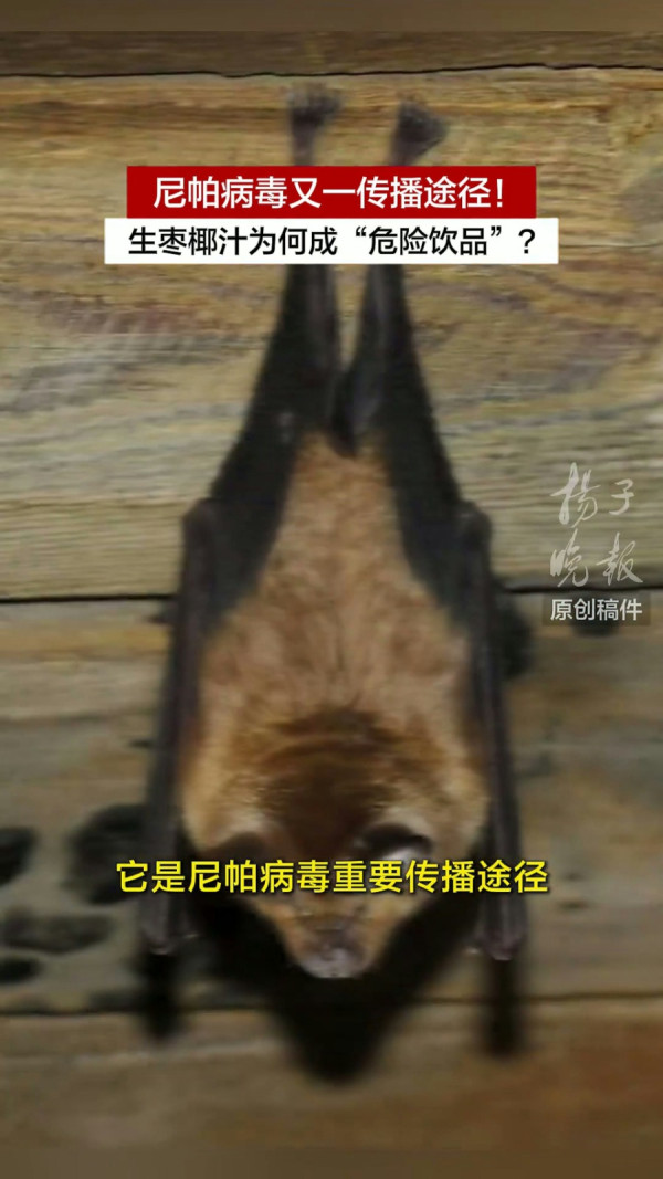 圖片來源:抖音@揚子晚報 圖片來源:抖音@揚子晚報