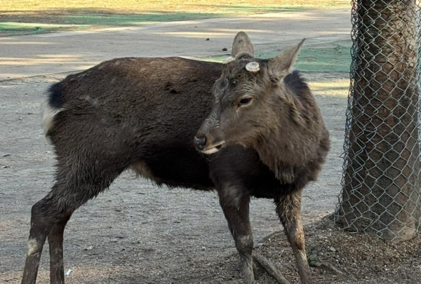 圖片來源:小編本人 圖片來源:小編本人