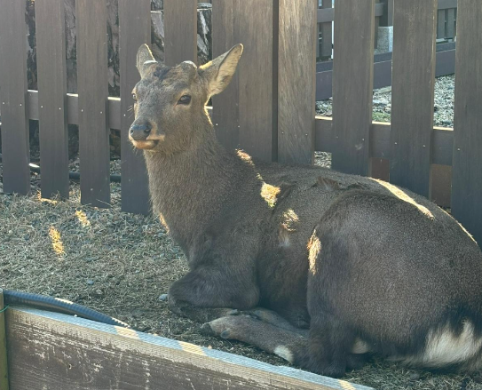 圖片來源:小編本人 圖片來源:小編本人