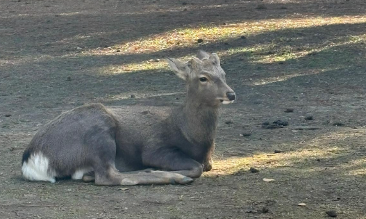 圖片來源:小編本人 圖片來源:小編本人