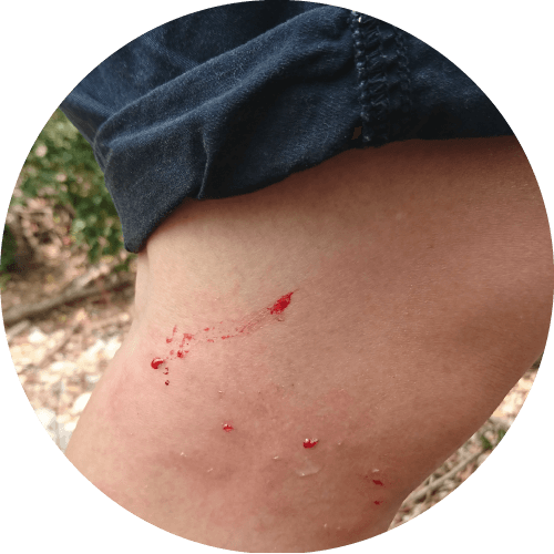 圖片來源:台灣獼猴共存推廣協會 圖片來源:台灣獼猴共存推廣協會