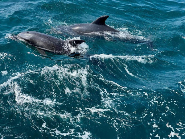 圖片來源:klook 圖片來源:klook