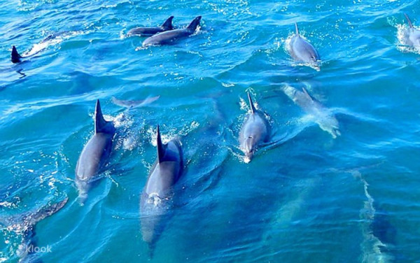 圖片來源:klook 圖片來源:klook