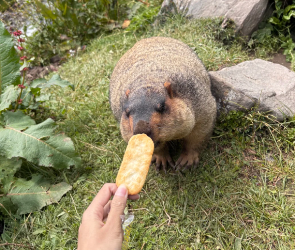 圖片來源:小紅書 圖片來源:小紅書