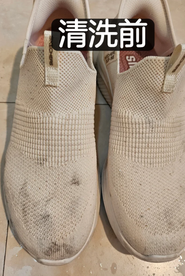 照片來源:小紅書@鳞翅目 照片來源:小紅書@鳞翅目