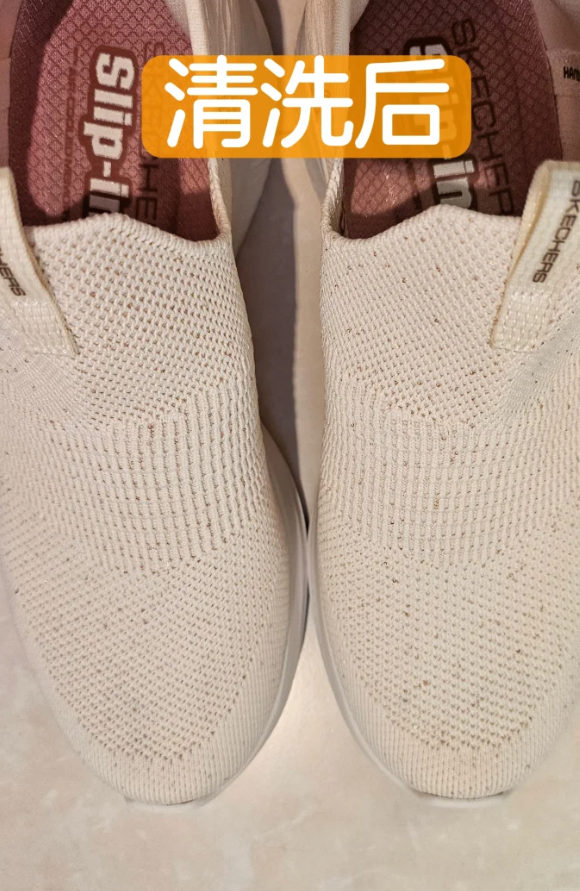 照片來源:小紅書@鳞翅目 照片來源:小紅書@鳞翅目