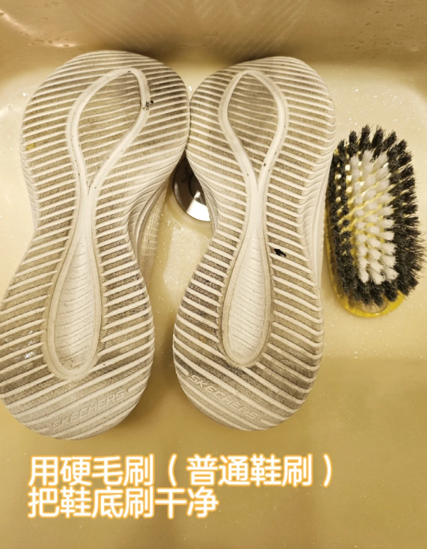 照片來源:小紅書@鳞翅目 照片來源:小紅書@鳞翅目