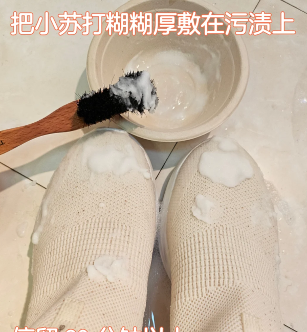 照片來源:小紅書@鳞翅目 照片來源:小紅書@鳞翅目