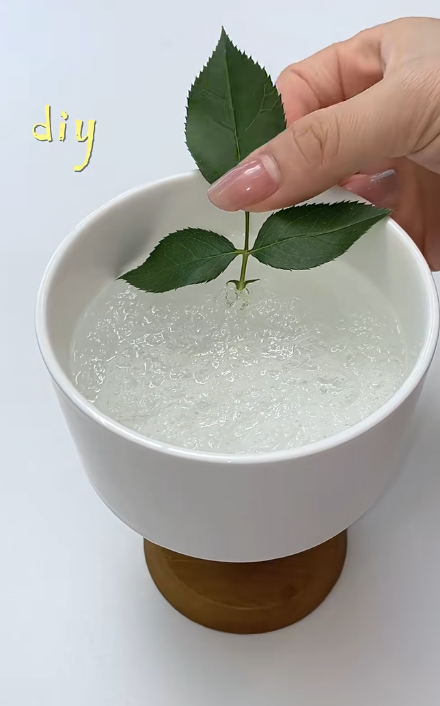 冰袋唔好再掉！網民教2個隱藏妙用：做擴香座、救植物、呢樣嘢千祈咪做