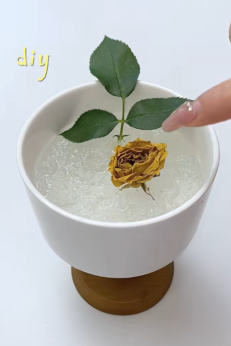 冰袋唔好再掉！網民教2個隱藏妙用：做擴香座、救植物、呢樣嘢千祈咪做