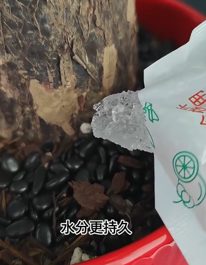 冰袋唔好再掉！網民教2個隱藏妙用：做擴香座、救植物、呢樣嘢千祈咪做