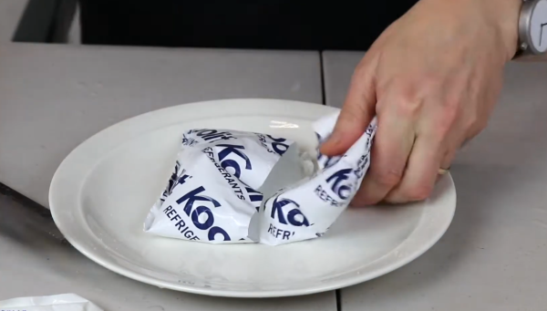 冰袋唔好再掉！網民教2個隱藏妙用：做擴香座、救植物、呢樣嘢千祈咪做