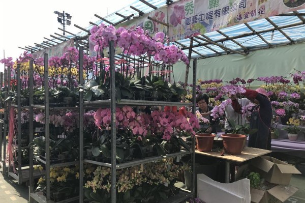 元朗東頭工業區遊樂場年宵花市（資料圖片）