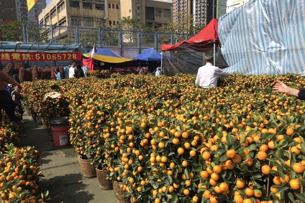 元朗東頭工業區遊樂場年宵花市（資料圖片）