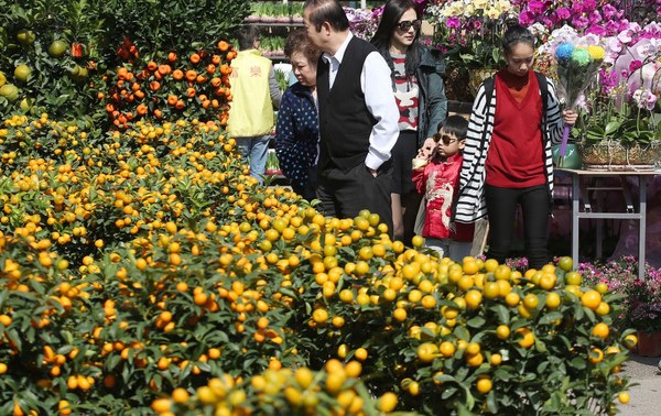 元朗東頭工業區遊樂場年宵花市（資料圖片）