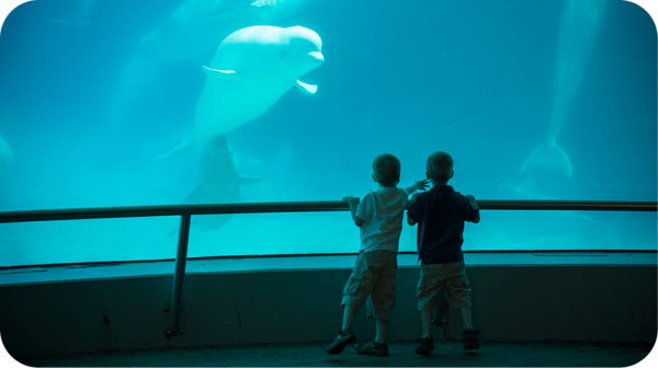 圖片來源：marineland.ca