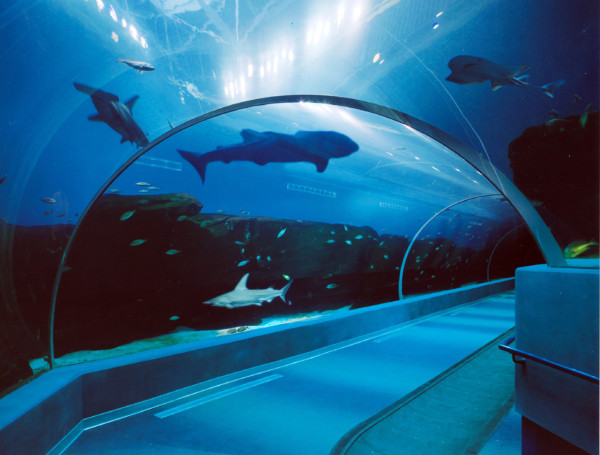 圖片來源：Brasfield & Gorrie