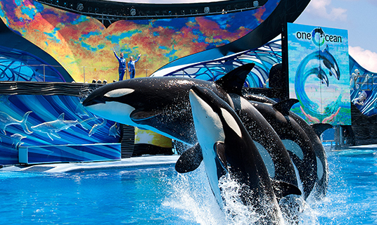 圖片來源：The Hilton Orlando