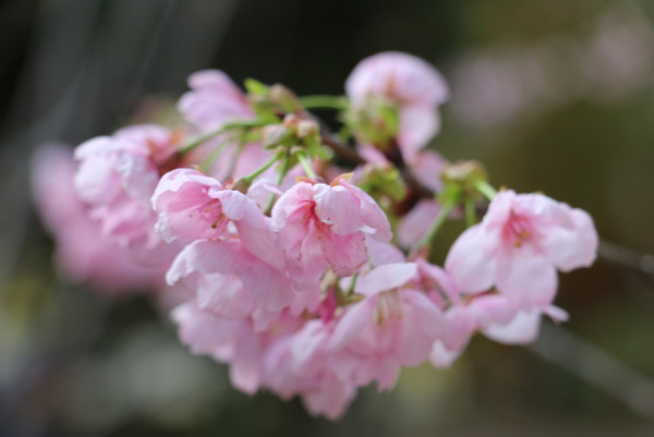 奧運全新1.5萬呎「巨型遊樂場」登場！13大放電區免費玩 情人節送氣球/6米燈飾