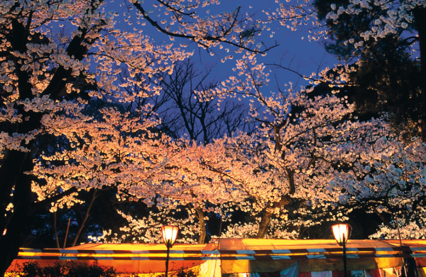 (圖︰兼六園官網) (圖︰兼六園官網)