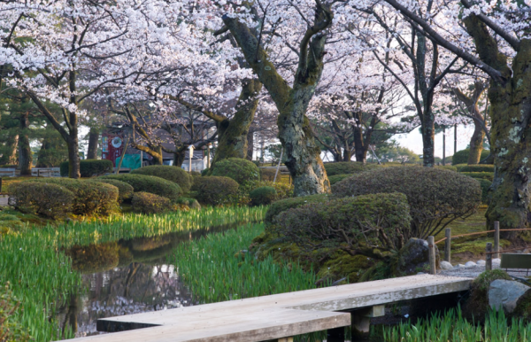 (圖︰兼六園官網) (圖︰兼六園官網)