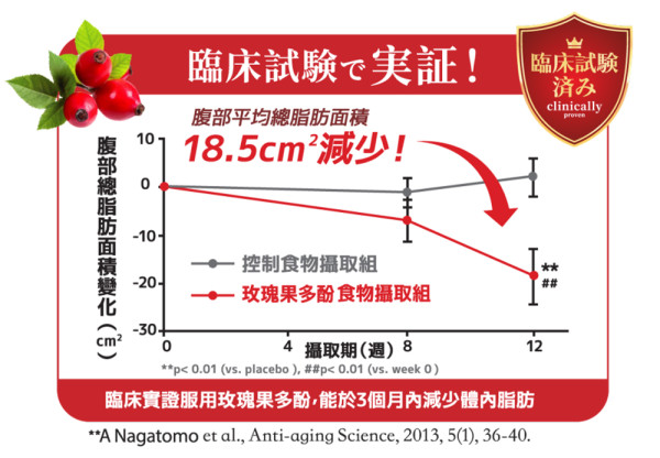 【開爐必讀】打邊爐唔想肥？「洋葱式吃法」規則大公開 一招幫你減脂排毒