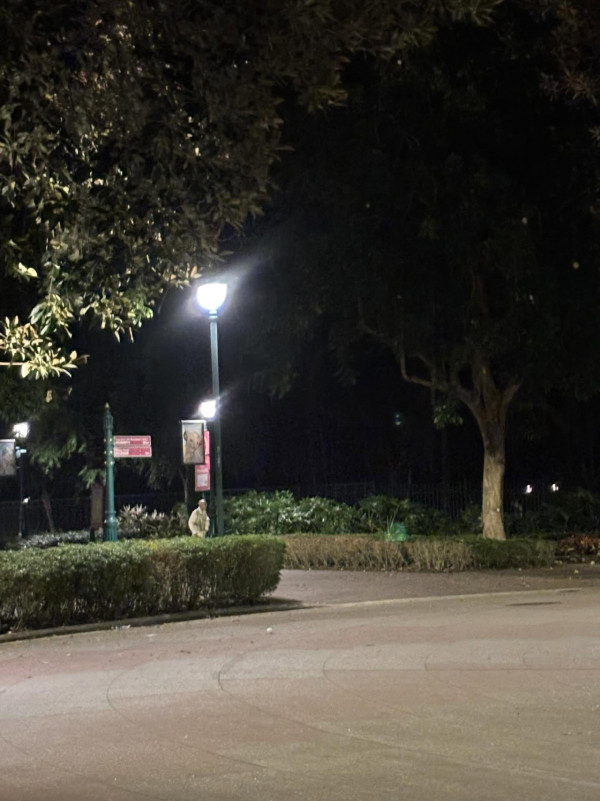 迪士尼樂園外圍驚現「恐怖白骨」？愛犬尋寶疑見殘骸？網民：嚇到心都離一離