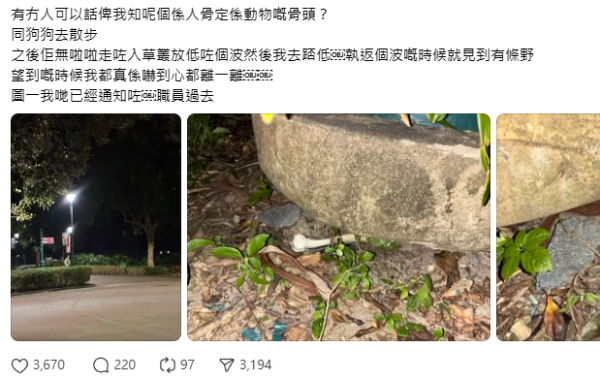 迪士尼樂園外圍驚現「恐怖白骨」？愛犬尋寶疑見殘骸？網民：嚇到心都離一離