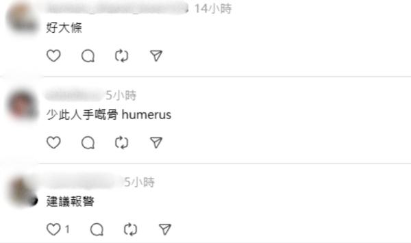 迪士尼樂園外圍驚現「恐怖白骨」？愛犬尋寶疑見殘骸？網民：嚇到心都離一離