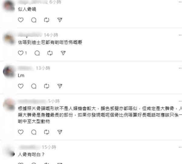 迪士尼樂園外圍驚現「恐怖白骨」？愛犬尋寶疑見殘骸？網民：嚇到心都離一離