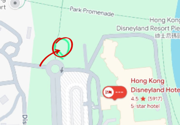 迪士尼樂園外圍驚現「恐怖白骨」？愛犬尋寶疑見殘骸？網民：嚇到心都離一離